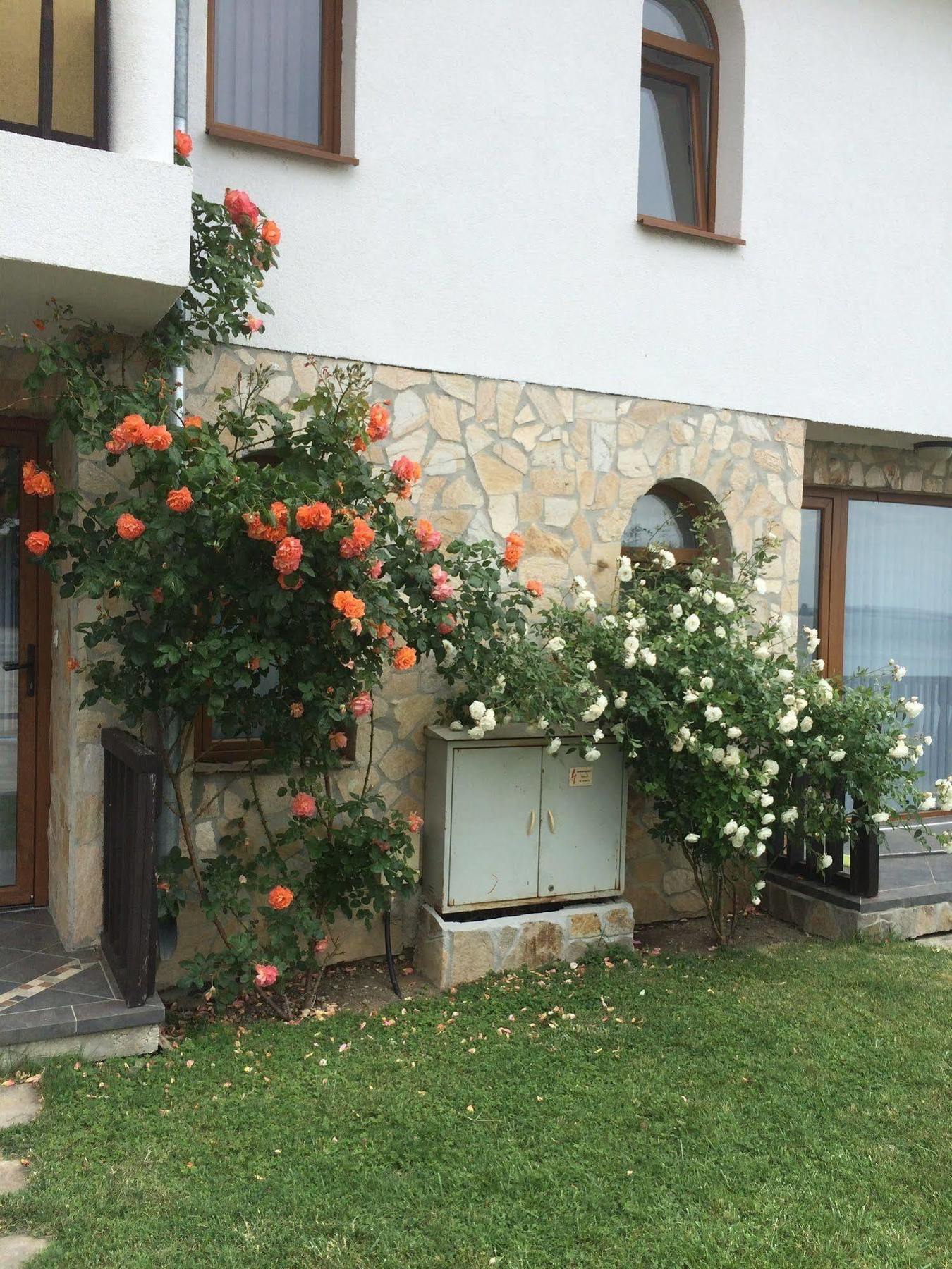 Tsb Sun Coast Apartments Sveti Vlas Εξωτερικό φωτογραφία